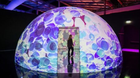 This Immersive Experience Promises to Make Your Insta Feed Pop … Literally!